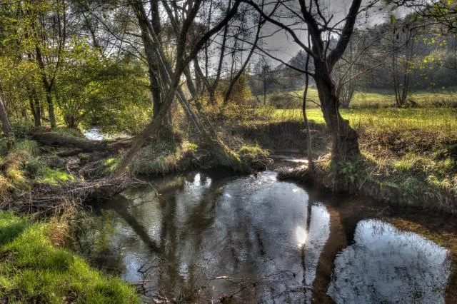 The Hanfcreek near Röttgen