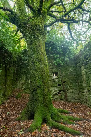 The mystical and mysterious ruin Escusalla