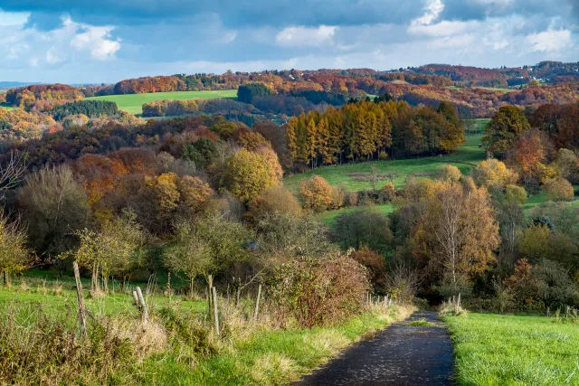 Das Hanfbachtal von Kurscheid aus