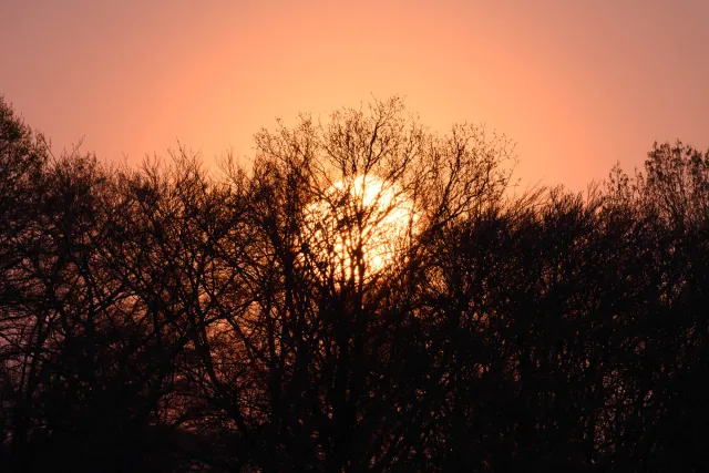 The super moon in April 2020