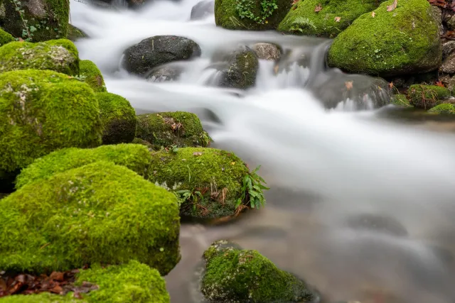 Inflow to Rio Nava - 20 seconds at f / 7.1