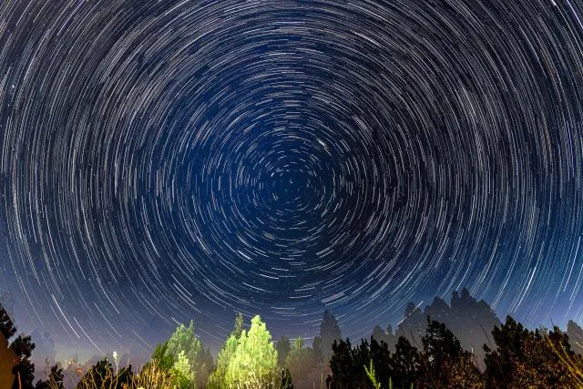 Startrails über Bäumen