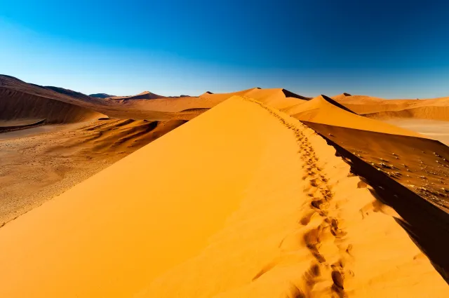 Die Dünenlandschaft rund um Düne 45 in der Namib