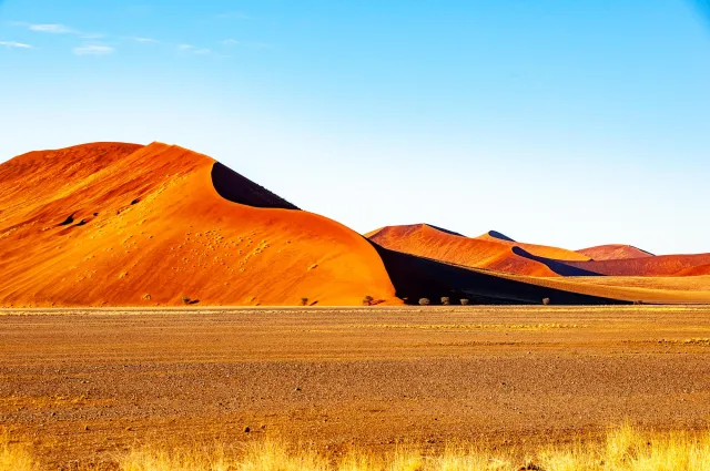 Die Dünenlandschaft rund um Düne 45 in der Namib