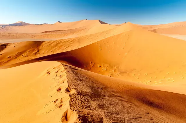 Die Dünenlandschaft rund um Düne 45 in der Namib