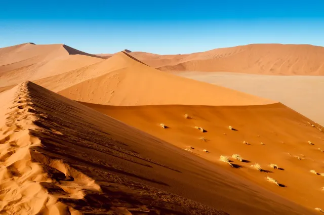 The dune landscape around Dune 45 in the Namib