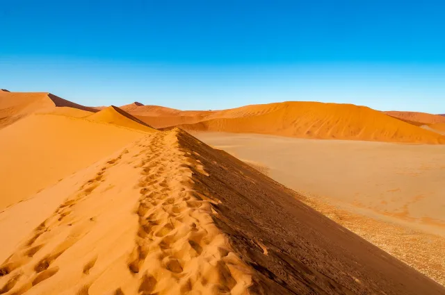 Die Dünenlandschaft rund um Düne 45 in der Namib