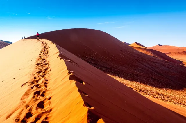 Die Dünenlandschaft rund um Düne 45 in der Namib