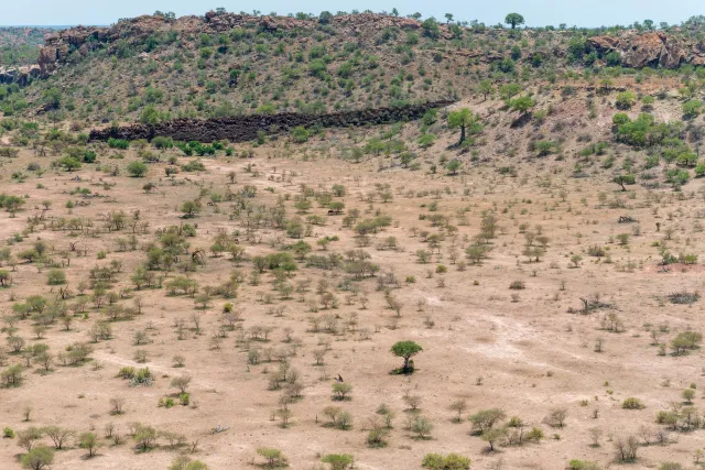 Die Landschaft am Fuße des Mapungubwe-Hügels