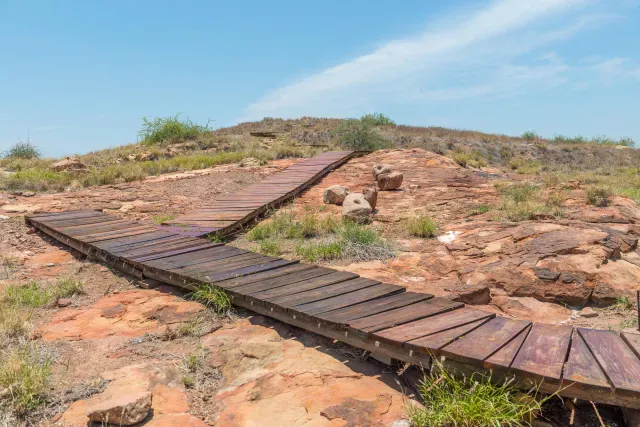 On the Mapungubwe hill