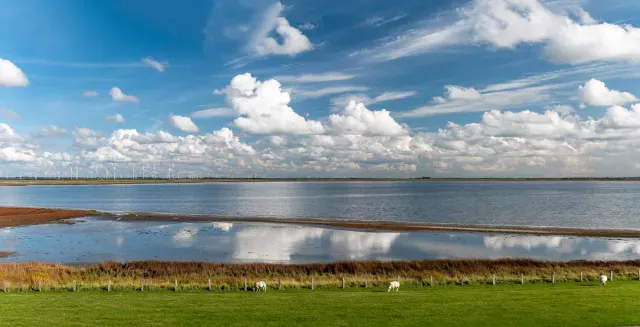  Am Lorendamm zur Hallig Nordstrandischmoor