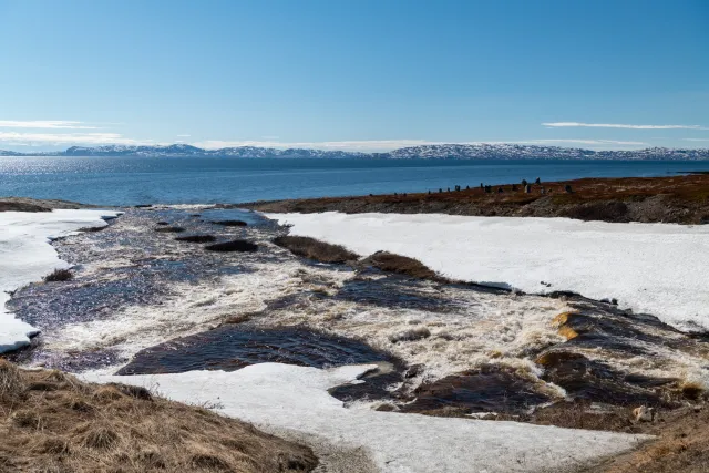 The coast of Vadsøya