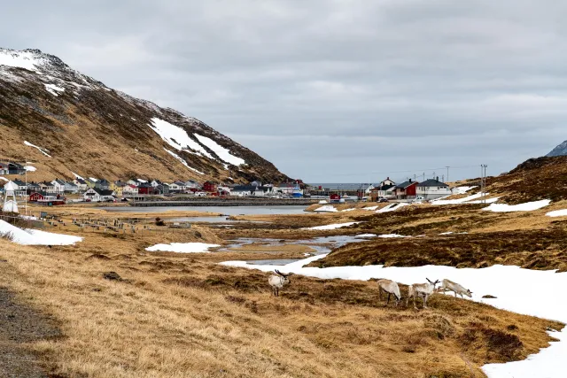 Arrive at base camp on the North Cape