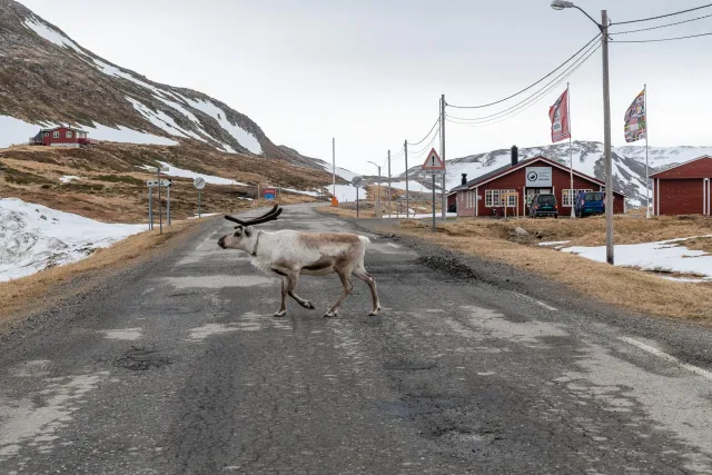 Ort am Ende der Welt: Skarsvåg