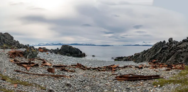 Wrecks on the coast