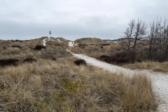 In the dunes of Dueodde