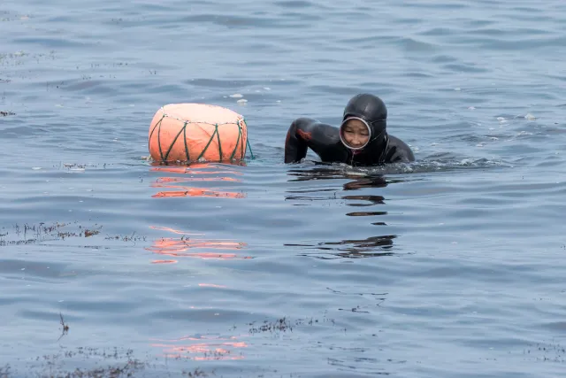 The sea women (Haenyo) from the South Korean island of Jeju.