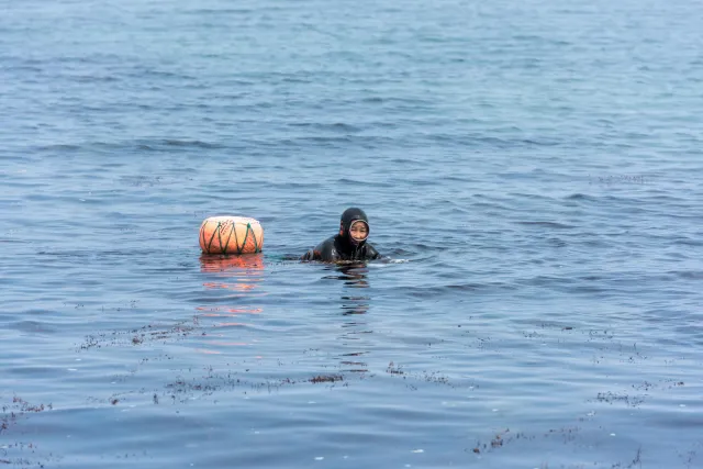 Die Seefrauen (Haenyo) von der südkoreanischen Insel Jeju.