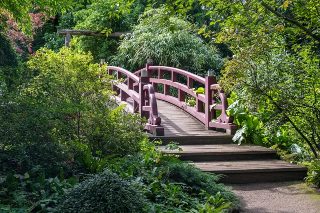 Red bridges over clear waters.